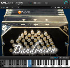 Bandoneon -  Historic reproduction by Paolo Principi